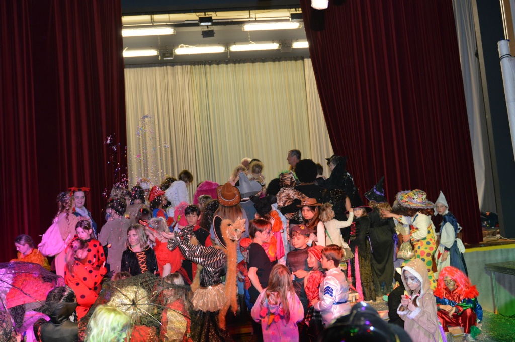 Bild 1 (48)
